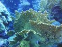 DSC00132.JPG