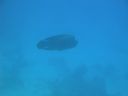 DSC00186.JPG