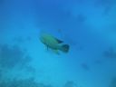 DSC00188.JPG