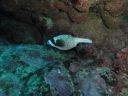 DSC00206.JPG