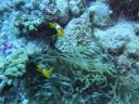 DSC00207.JPG