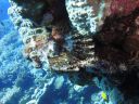 DSC00213.JPG