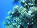 DSC00215.JPG