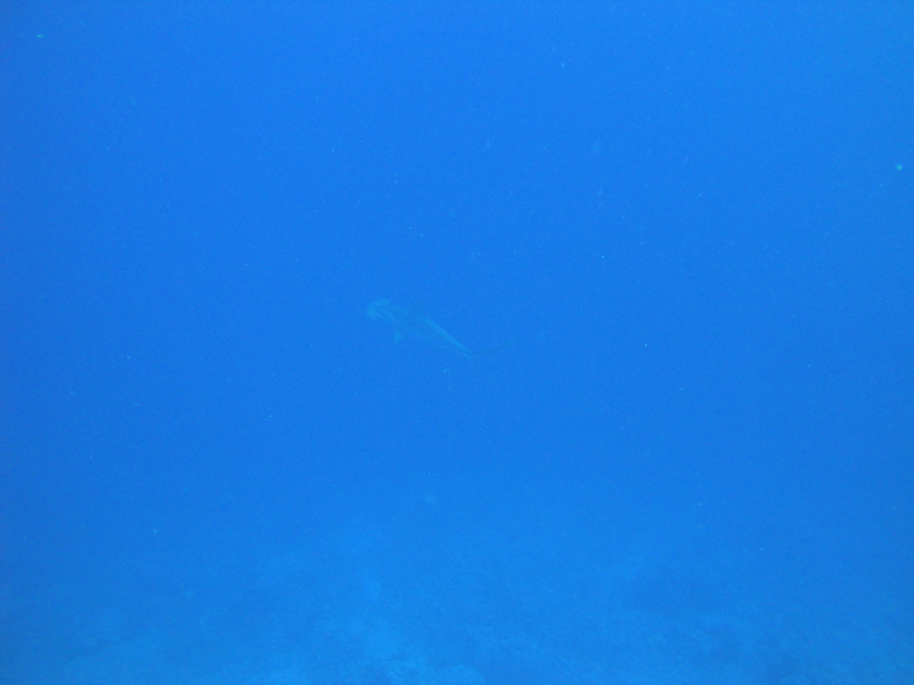 DSC00011.JPG