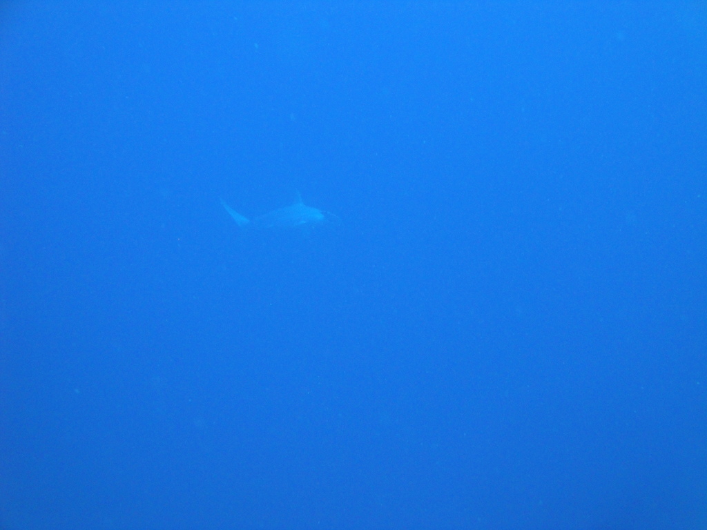 DSC00013.JPG