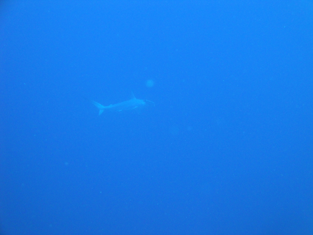 DSC00014.JPG