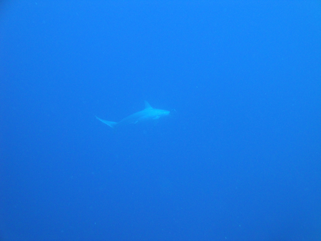 DSC00015.JPG