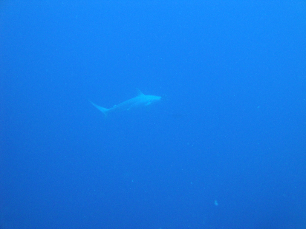 DSC00016.JPG