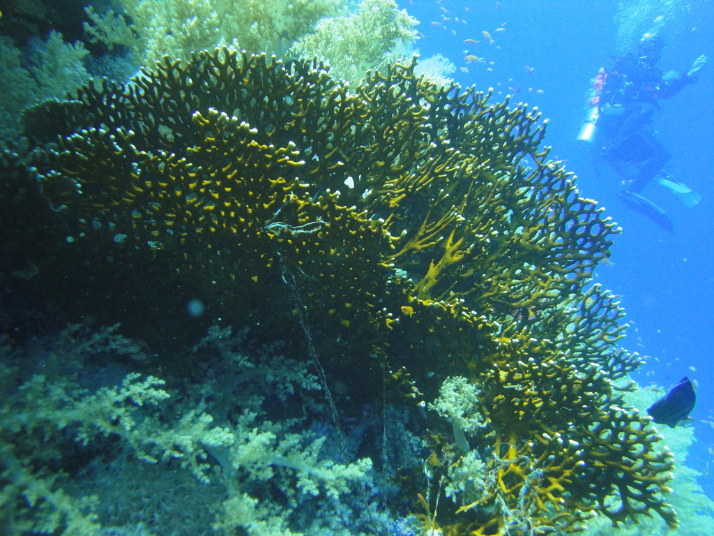 DSC00066.JPG