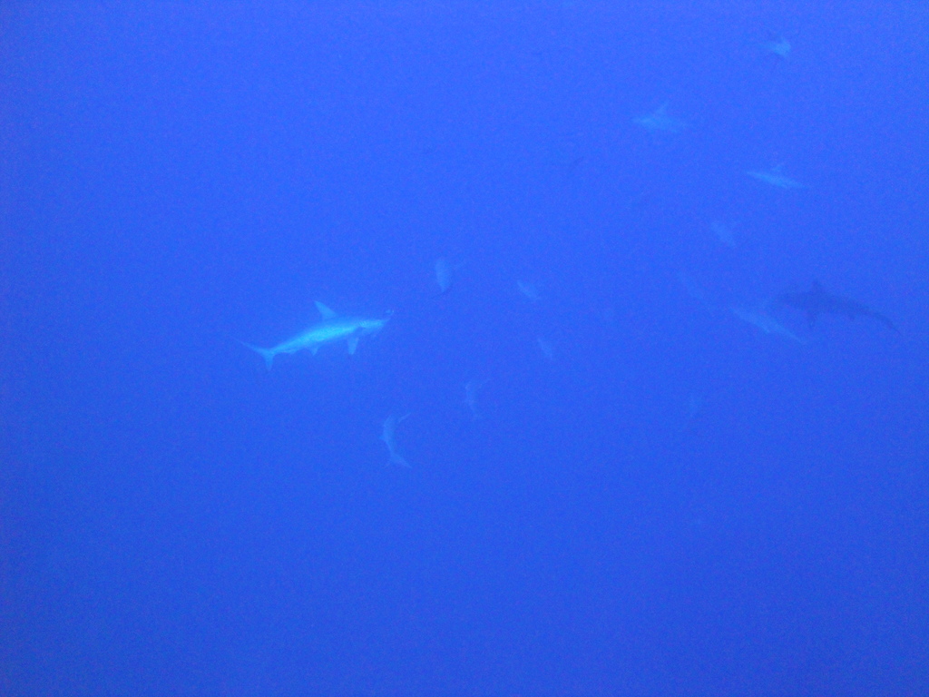DSC00094.JPG