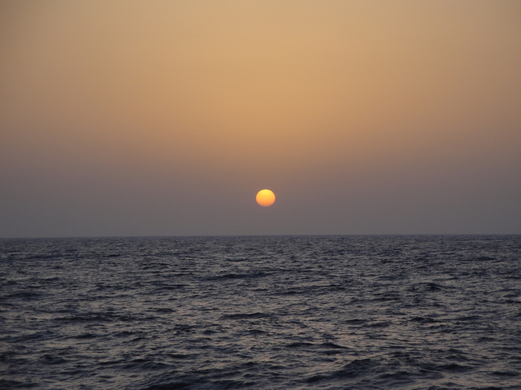 DSC00100.JPG