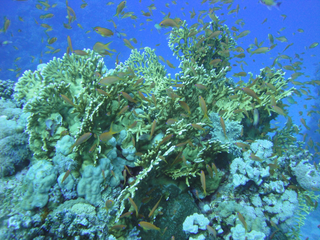 DSC00178.JPG
