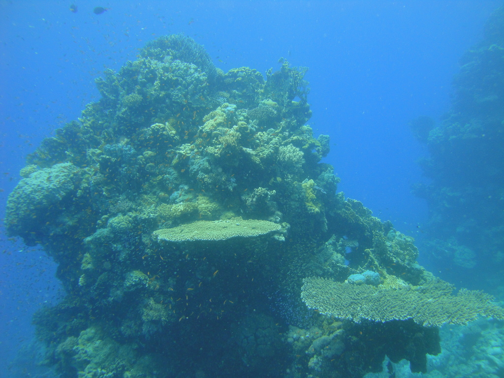 DSC00224.JPG