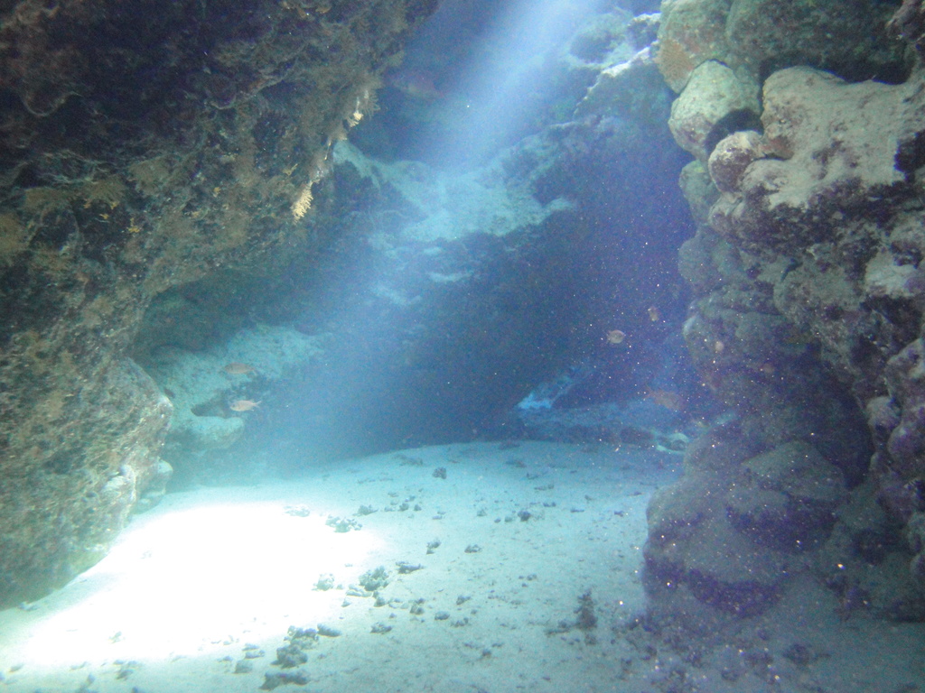 DSC00239.JPG