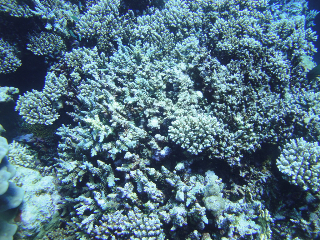 DSC00284.JPG
