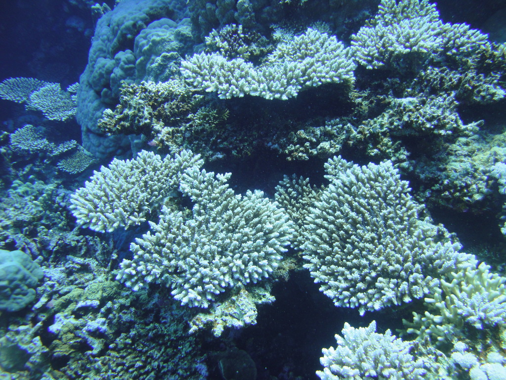 DSC00289.JPG
