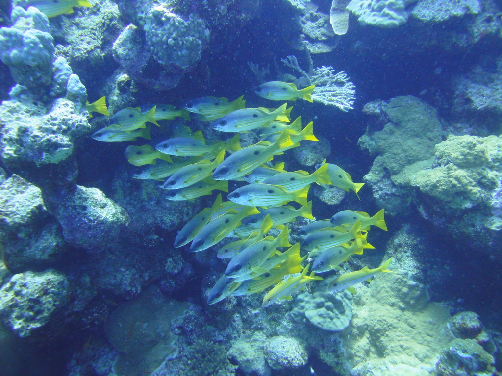 DSC00292.JPG