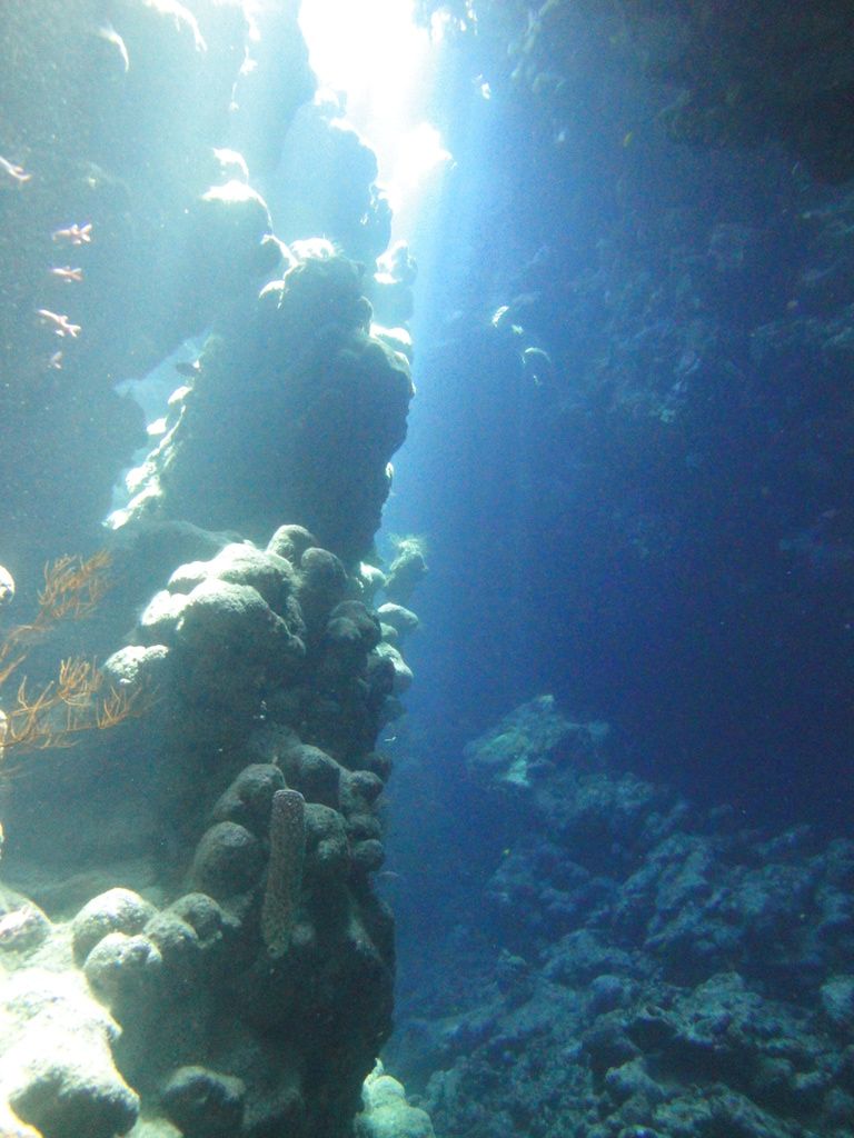 DSC00303.JPG