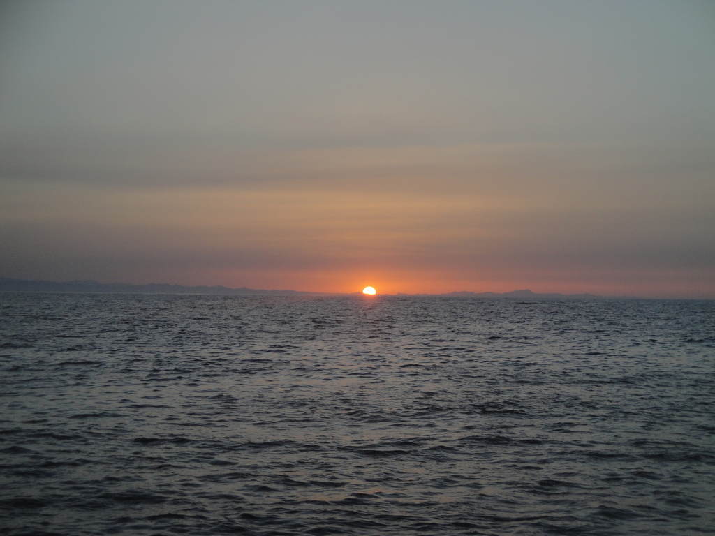 DSC00320.JPG