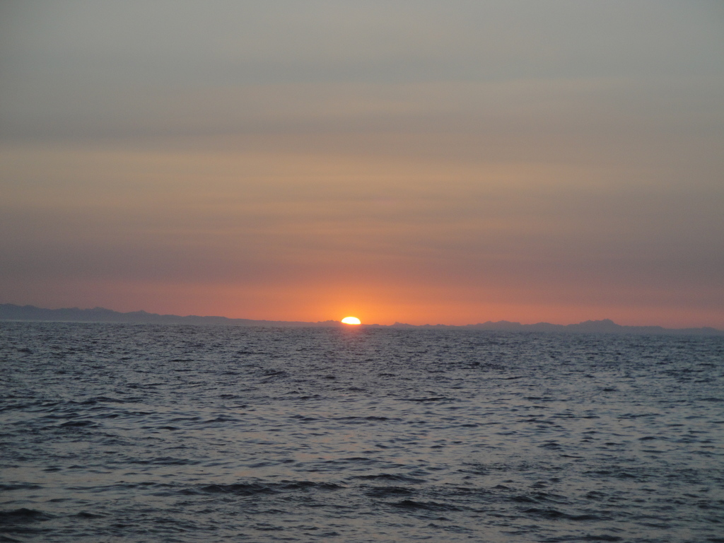 DSC00323.JPG