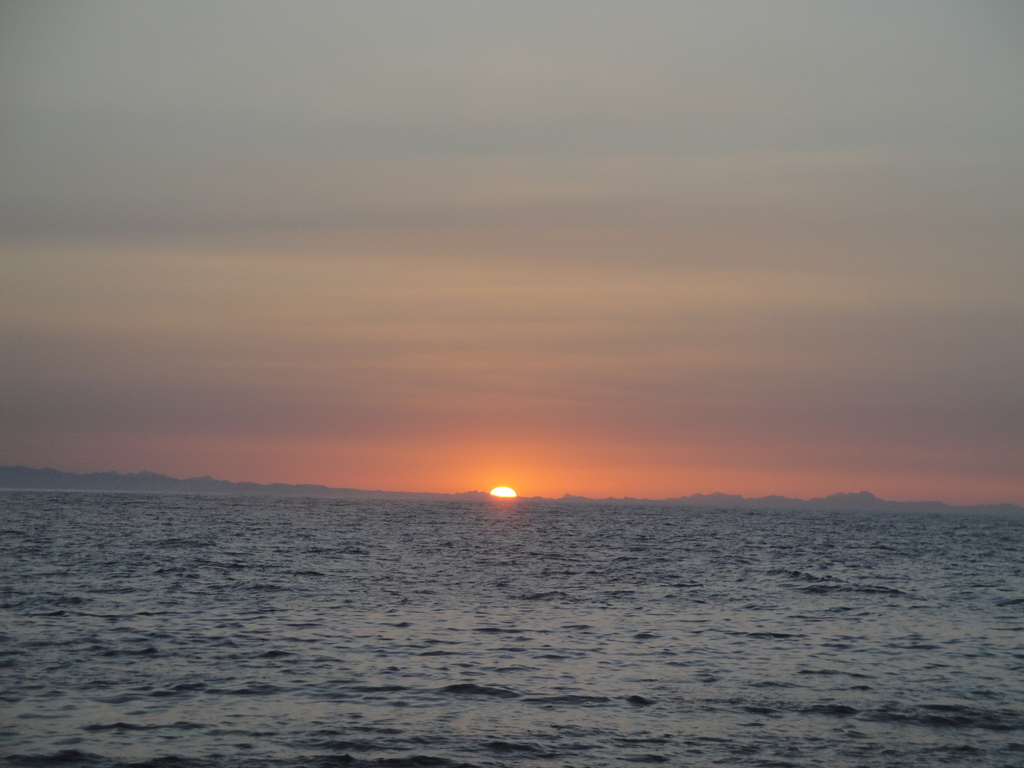 DSC00326.JPG