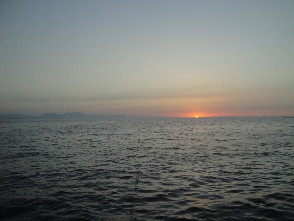 DSC00329.JPG
