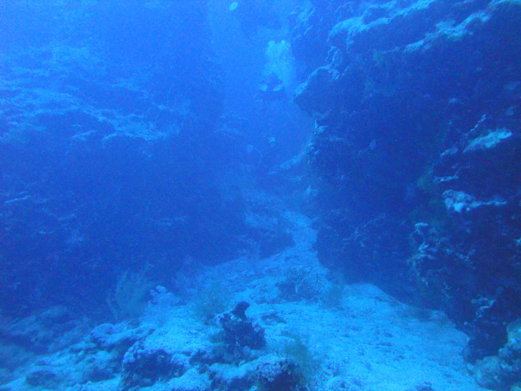 DSC00339.JPG