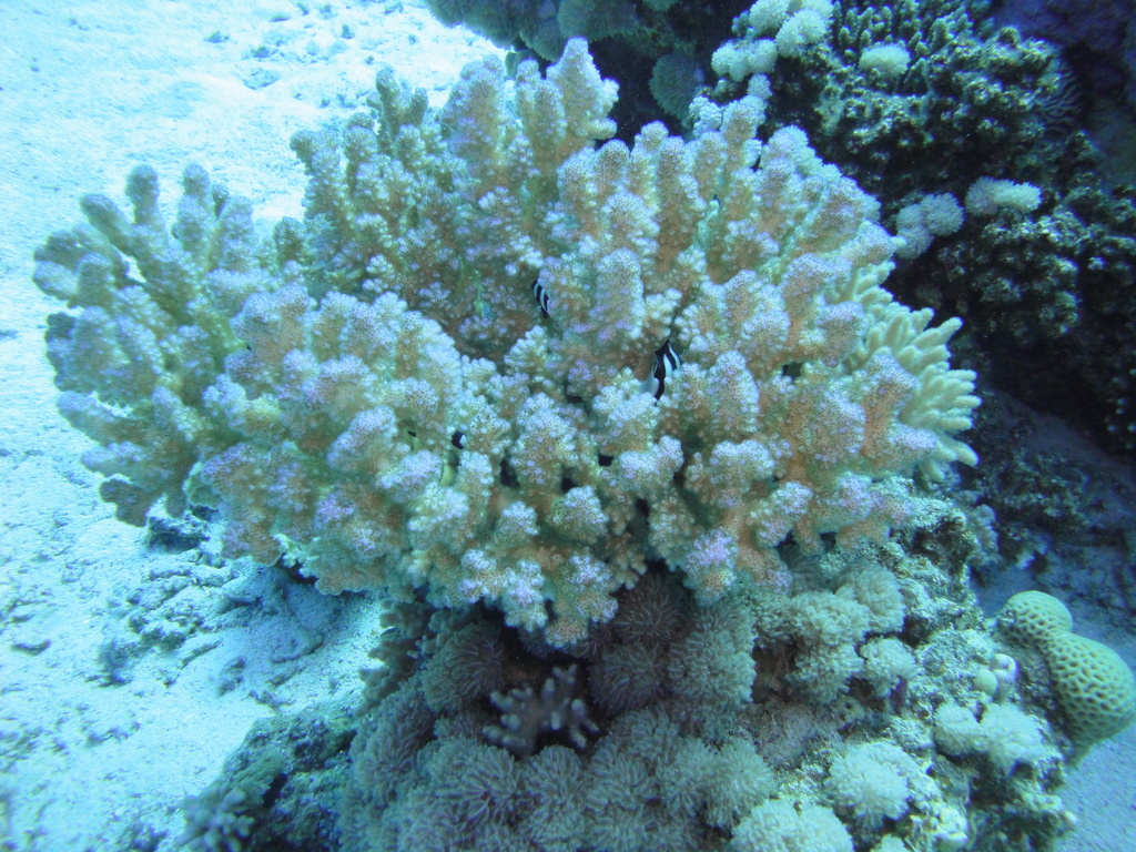 DSC00385.JPG