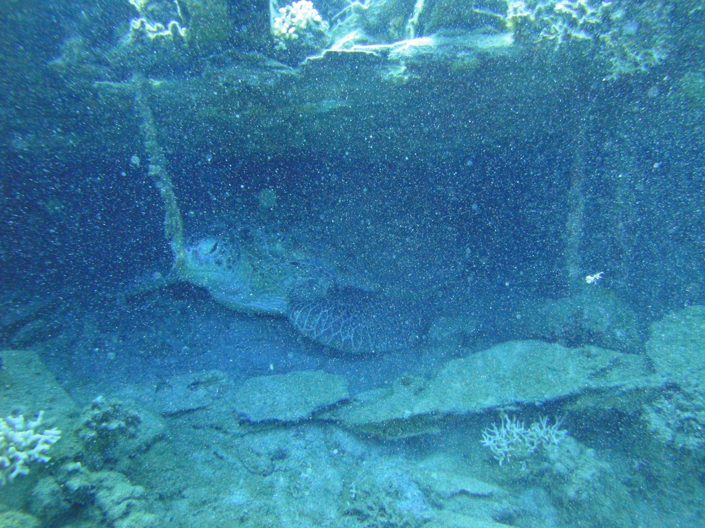 DSC00403.JPG