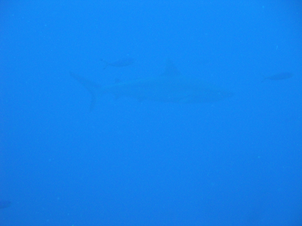 DSC00428.JPG