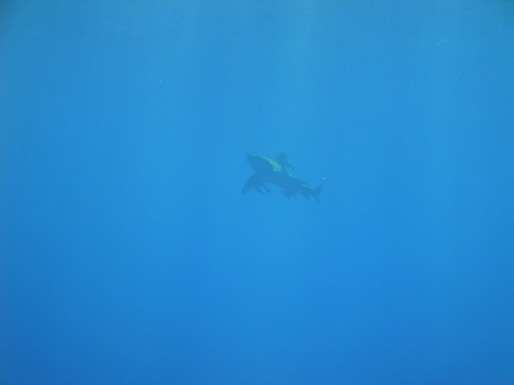 DSC00433.JPG