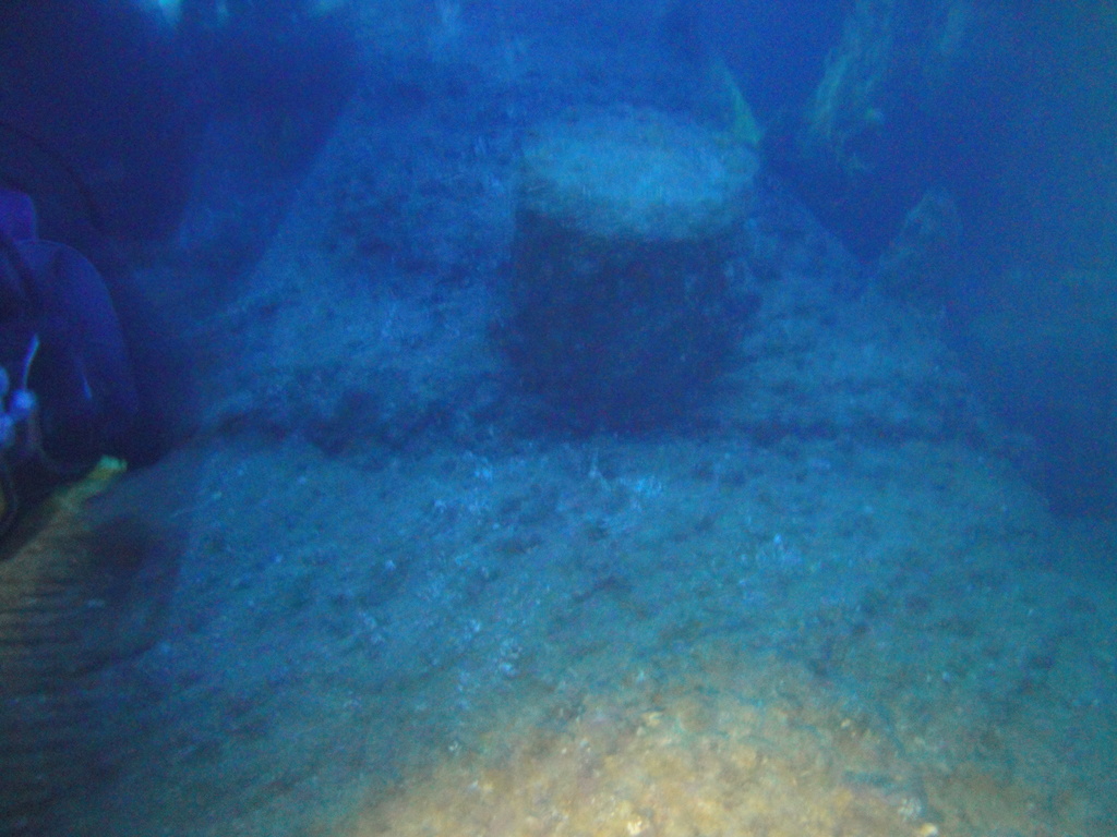 DSC00480.JPG