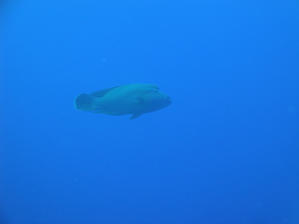 DSC00543.JPG