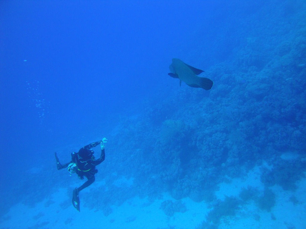 DSC00544.JPG
