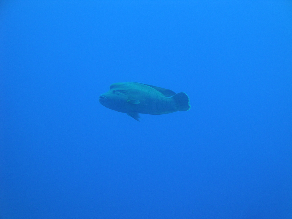 DSC00545.JPG