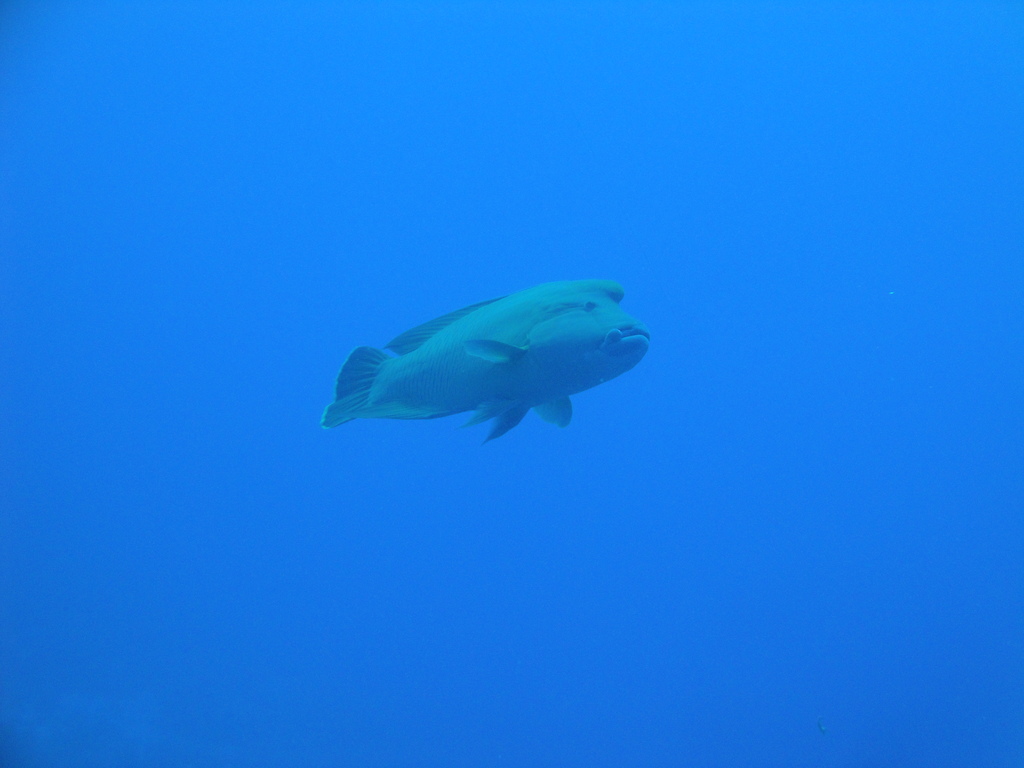 DSC00546.JPG