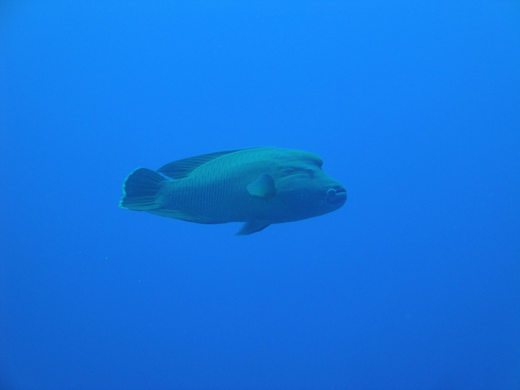 DSC00547.JPG