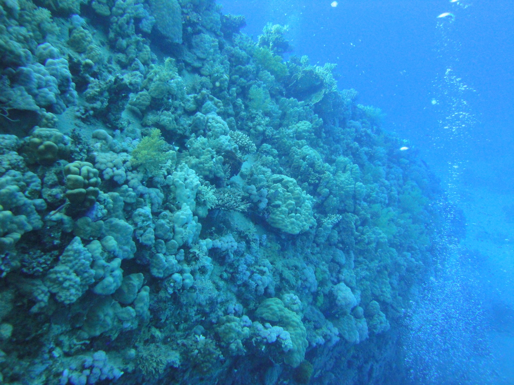 DSC00587.JPG