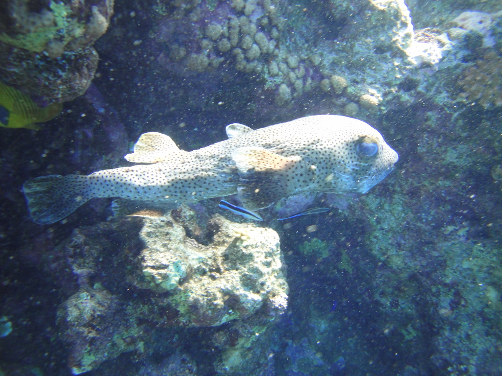 DSC00602.JPG