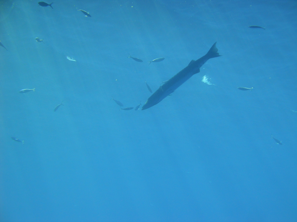 DSC00685.JPG