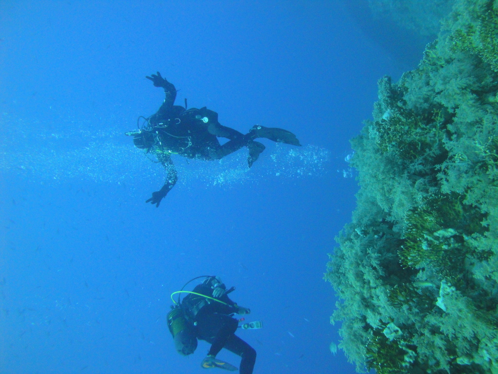 DSC00722.JPG