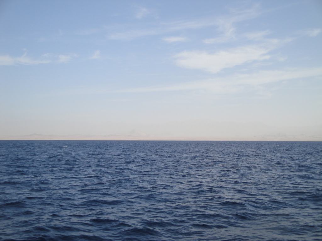 DSC00730.JPG