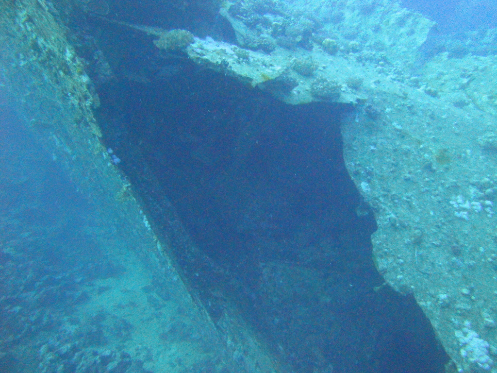 DSC00820.JPG