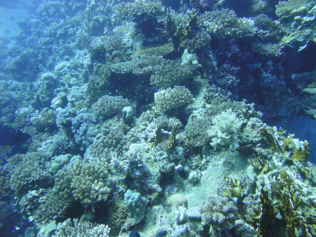 DSC00892.JPG
