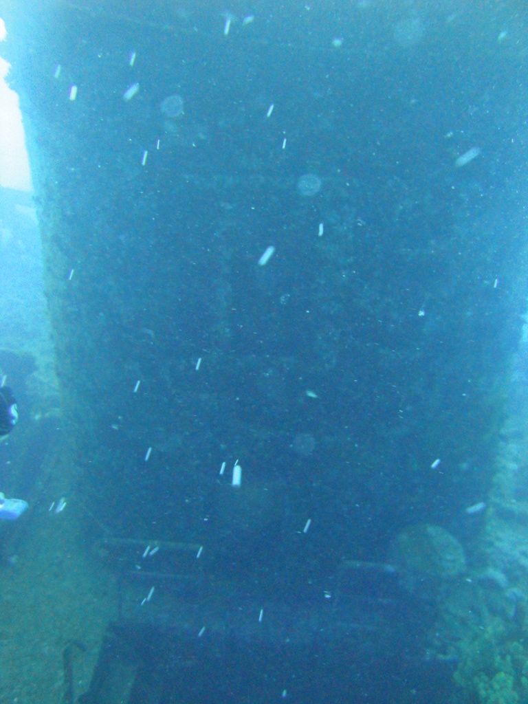 DSC00896.JPG