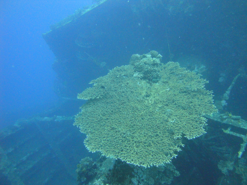 DSC00914.JPG