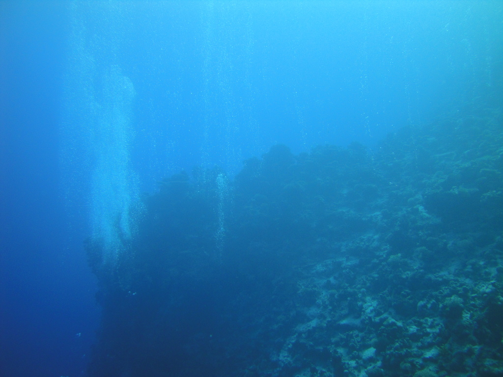 DSC00962.JPG