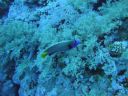 DSC00055.JPG