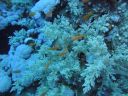 DSC00056.JPG