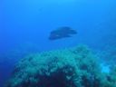 DSC00059.JPG